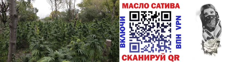 Купить где  Новосибирск  ТГК THC oil 