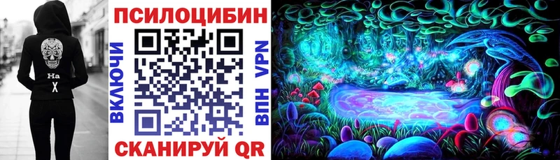 Купить  Новосибирск  Псилоцибиновые грибы прущие грибы 